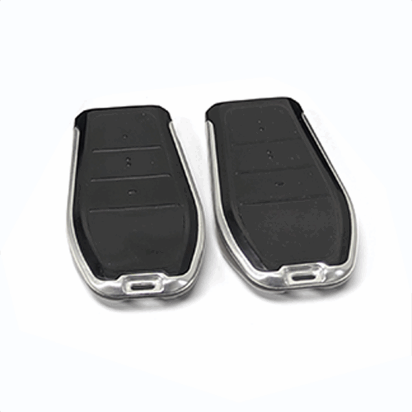 Passive Keyless Entry and Remote Keyless Entry - VAIS